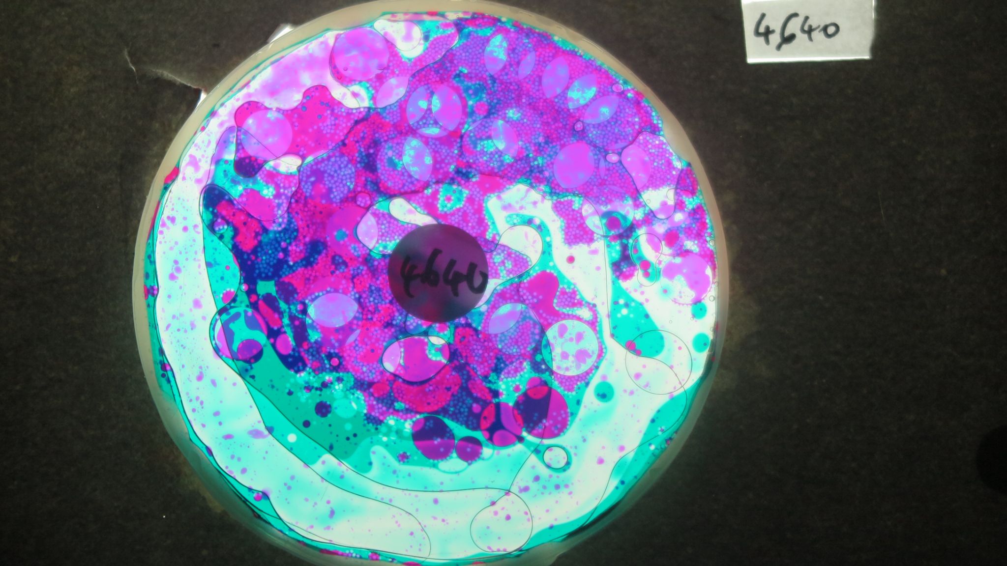 BV4640 bubble vision oil wheel